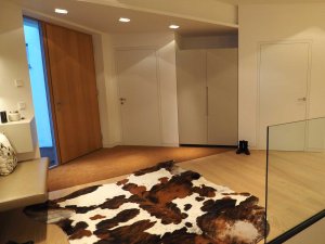 Innenarchitektur Vorzimmer modern
