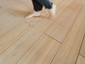 Holzfußboden Massivholz genagelt neu Schloss Lackenbach