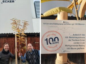 100 Jahre 100 Bäume Tischlerei Ecker